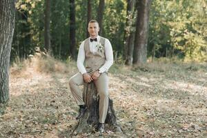 Portrait of the groom in the forest. The groom in a light gray vest is sitting on a wooden stand. Stylish, elegant groom posing with brown bow tie, watch, vest and white shirt. photo