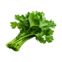 AI generated Parsley leaves in a closeup isolated on transparent background png