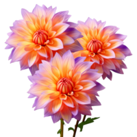 ai generiert Orange und lila Dahlien Blume isoliert auf transparent Hintergrund png