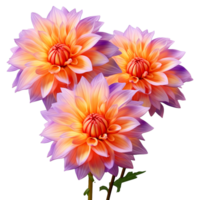 ai genererad orange och lila georginer blomma isolerat på transparent bakgrund png