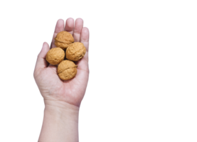 Man holding walnuts PNG transparent