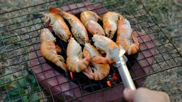 Grilled river prawns on a charcoal grill. video