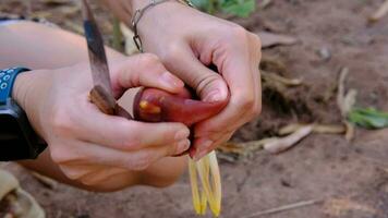 un' donna di mano è intaglio un' Banana fiorire utilizzando un' coltello. per essere Usato per cucinando video