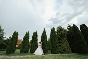 Portrait of the bride and groom in nature. Stylish bride and groom in a long lace dress are hugging and posing near the trees in the garden. A happy couple in love photo