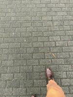 leg with shoe on paved path photo