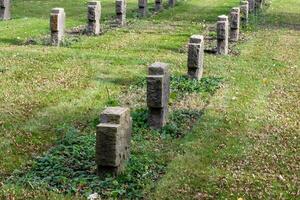 some soldier graves in the cemetery photo