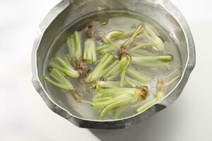 Cilantro roots soaked in an aluminum cup for propagation. photo