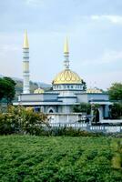 Indonesian Islamic mosque located among rice fields. photo