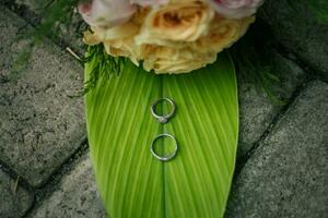 Pair of wedding rings photo