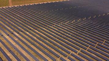 aérien vue de une solaire cultiver. Lignes de moderne photovoltaïque solaire panneaux. renouvelable écologique la source de énergie de le Soleil. drone en orbite au dessus le solaire ferme video