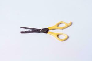 Scissors in white background photo