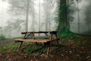 Tables and chairs in the misty wilderness. photo