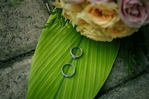 par de Boda anillos foto