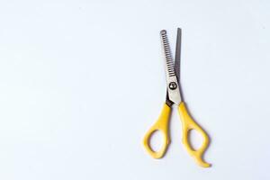 Yellow sasak scissors on a white background photo