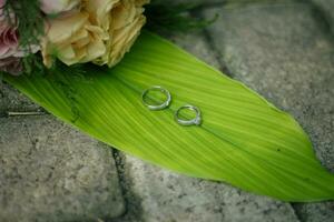 Pair of wedding rings photo