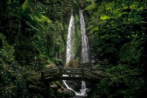 Waterfall covered with green plants photo