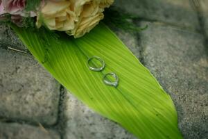 Pair of wedding rings photo