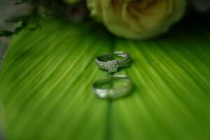 par de Boda anillos foto