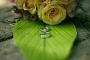 par de Boda anillos foto