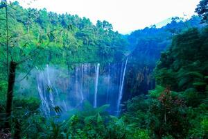 A cascading waterfall in the quiet wilderness photo