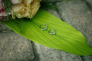 Pair of wedding rings photo