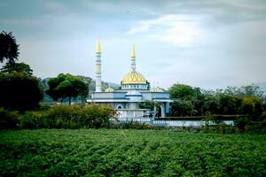 Indonesian Islamic mosque located among rice fields. photo