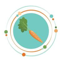 Zanahoria sano comida y nutrición vector ilustración gráfico icono