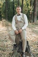 retrato de el novio en el bosque. el novio en un ligero gris chaleco es sentado en un de madera pararse. elegante, elegante novio posando con marrón arco atar, mirar, chaleco y blanco camisa. foto