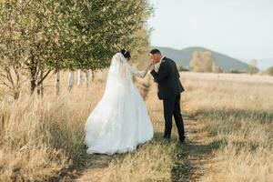 A wide-angle portrait of a bride and groom walking across a field against the backdrop of mountains. The groom kisses the bride's hand. Rear view. A wonderful dress. photo