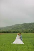 Wide-angle portrait of the bride and groom walking on a green meadow against the background of mountains. Rear view. Magnificent dress. Stylish groom. Wedding photo