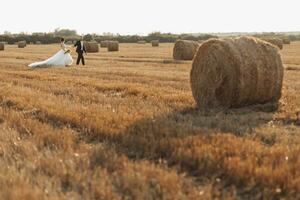 Wide-angle wedding portrait of the bride and groom. Bride and groom on the background of hay, walking across the field holding hands. Red-haired bride in a long dress. Stylish groom. Bales of hay photo