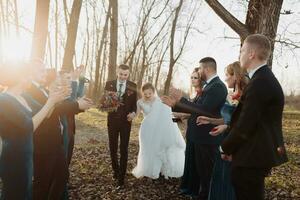 Brides and friends in the nature. Friends at the wedding. Newlywed couple, bridesmaids and groomsmen having fun outdoors photo