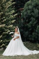 The bride in a voluminous white dress and a long veil stands on a background of green conifers with a bouquet of white roses, holding her dress. Portrait of the bride. Beautiful makeup and hair. photo