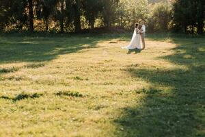 Happy bride and groom are standing on the field, looking at each other, behind them are big Christmas trees. Beautiful light that illuminates the bride and groom. Wedding photo. wide angle photo