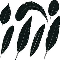 Free Feathers Vector