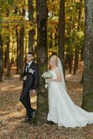 bride and groom on the background of a fairy forest. Romantic views, advertising photo