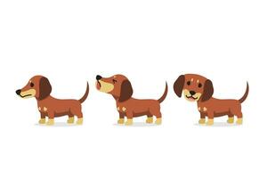 Set of vector cartoon character dachshund dog