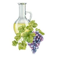 Jug with grape seed oil. A decanter with grape juice. Natural vegetable oil. Grape seed oil in glass bottle. Isolated watercolor illustration. For the design of labels of wine, grape juice, cosmetics. vector