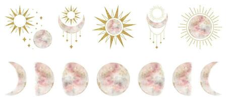 Set of crescent moon, sun, floral elements. Moon, sun and. Isolated watercolor illustration on the topic of astrology and esotericism. Magic celestial clipart for design, print, fabric or background vector