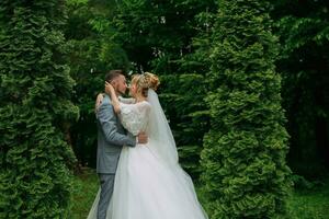retrato de el novia y novio en pie en contra el antecedentes de verde árboles, abrazando y besando elegante novio. Moda y estilo. hermosa novia foto