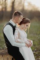 Boda foto en naturaleza. el novio se sienta en un de madera pararse, el novia soportes siguiente a a él, propensión en su hombro. Mira a el cámara. retrato de el novia y novio