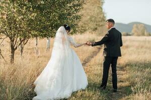 A wide-angle portrait of a bride and groom walking across a field against the backdrop of mountains. Rear view. A wonderful dress. Stylish groom. Wedding photo in nature