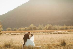 Boda foto. el novia y novio son en pie en un campo en contra el antecedentes de arboles y grande montañas. foto en un ligero llave. Pareja en amor. elegante novio