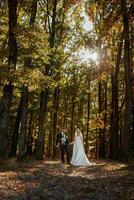 contento Pareja. Boda foto. Pareja en amar, caminando en el bosque a atardecer, Boda vestir con largo tren, sitio para publicidad foto