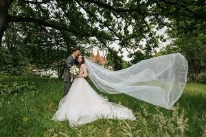 Happy young couple standing under a tree. The bride's veil flutters in the wind. The bride tenderly hugged her groom. Young people are tenderly hugging while looking at the camera. Spring wedding photo