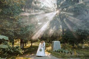 hermosa Pareja en amor en su Boda día. un caminar en el parque en el luz de sol mediante el hojas de el árboles, el novia y novio abarcar. increíble Besos y abrazos foto