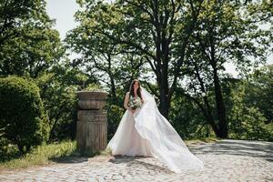 A stylish young bride in a beautiful lush dress of white and pink color with a long veil. Portrait. Spring wedding. Natural makeup photo