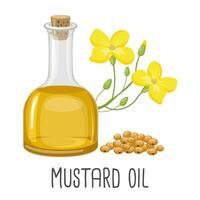 Mustard oil, seeds and mustard plant. Vegetable oil from mustard seeds. Illustration, vector