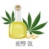 Hemp oil, seeds and hemp plant. Hemp seed oil. Food. Illustration, vector