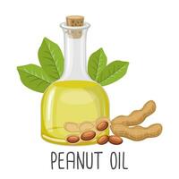 Peanut oil, seeds and peanut plant. Peanut seed oil in a bottle. Food. Illustration, vector